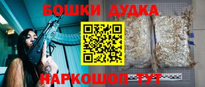 PSILOCYBIN Анжеро-Судженск