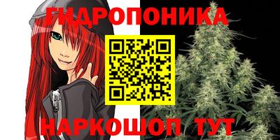 PSILOCYBIN Анжеро-Судженск