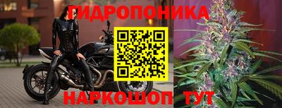 PSILOCYBIN Анжеро-Судженск