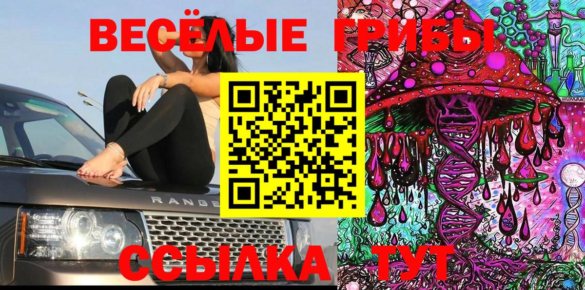 Отрадное  Галлюциногенные грибы ЛСД  наркота  Вход с VPN 