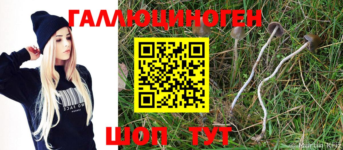 Галлюциногенные грибы ЛСД Отрадное